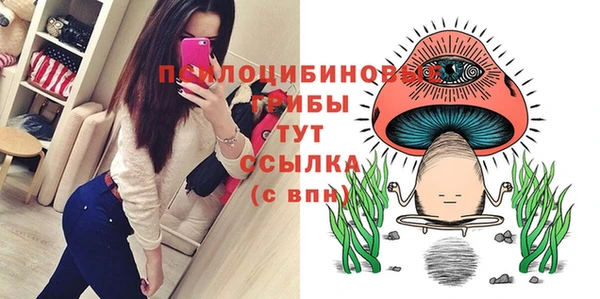 твердый Абаза