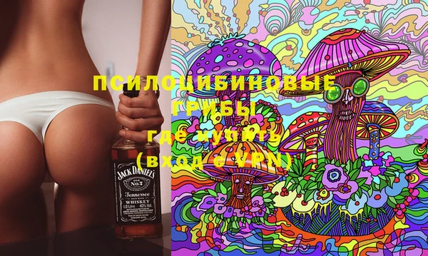 PSILOCYBIN Алзамай
