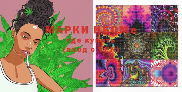 PSILOCYBIN Алзамай